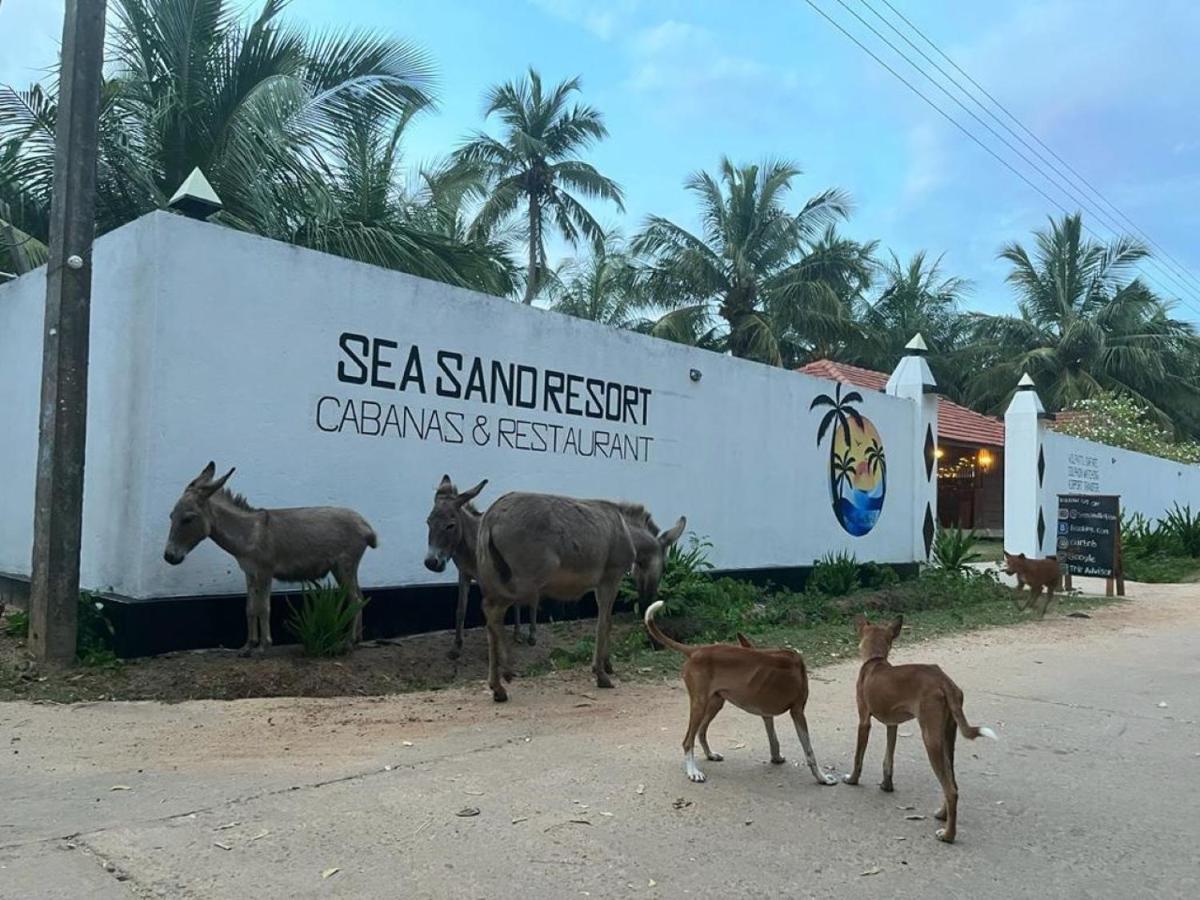 Sea Sand Resort Kalpitiya Εξωτερικό φωτογραφία